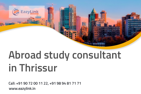 Abroad Study Consultant