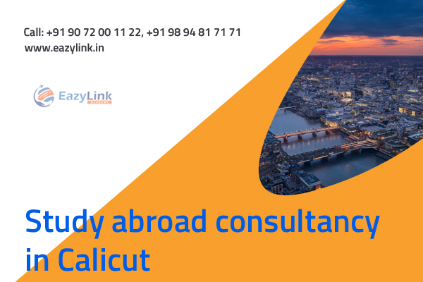 Abroad Study Consultant