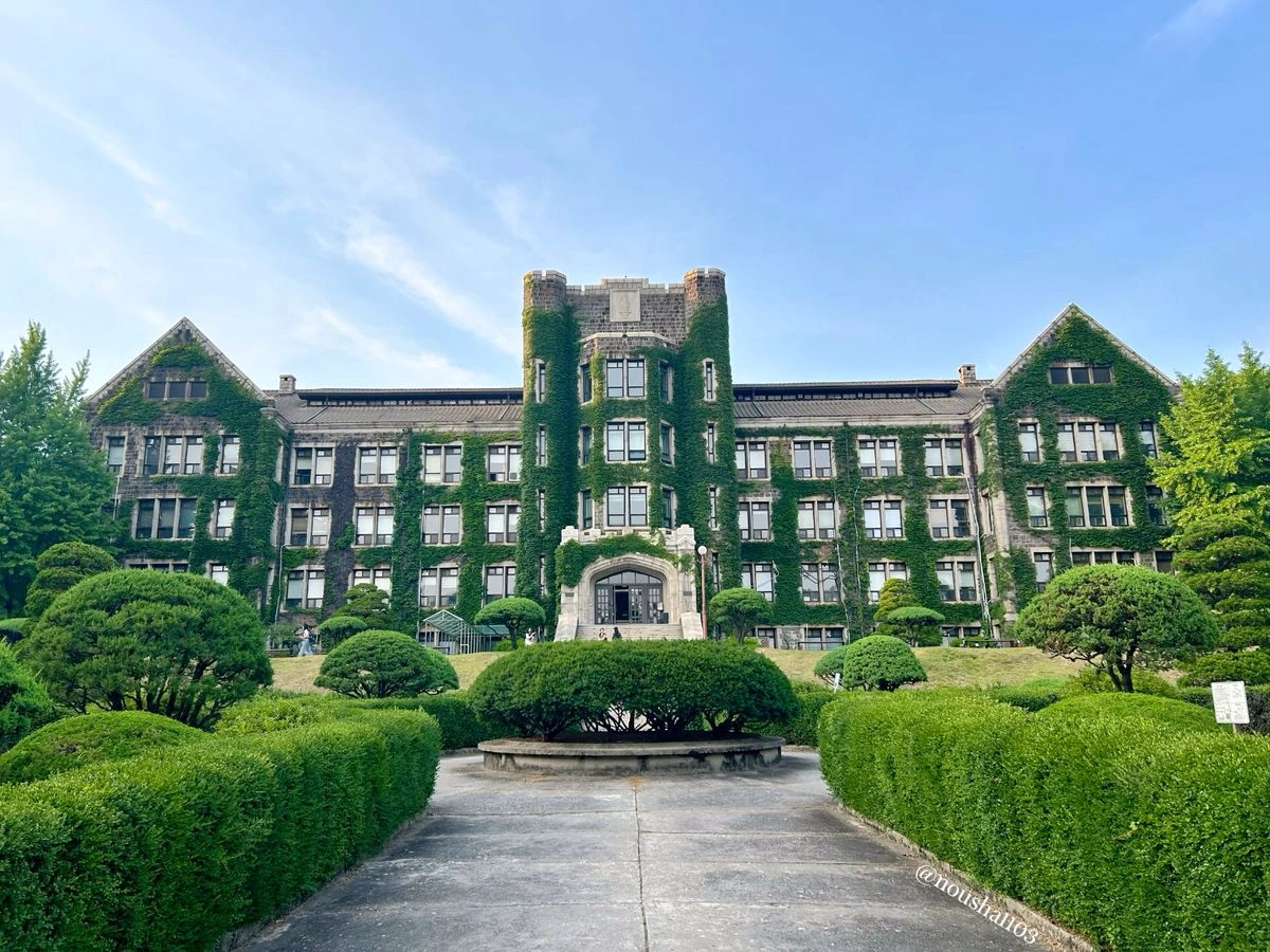 Apply for Masters in the Netherlands 2026